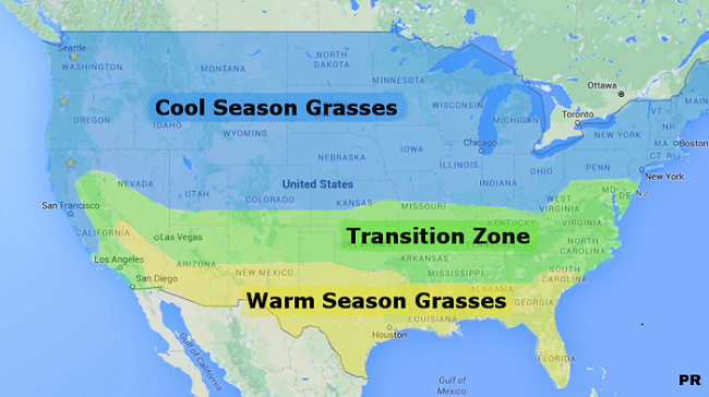 Grass Zone