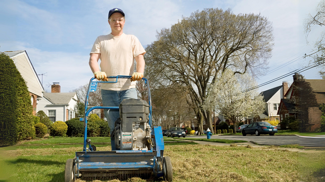 Lawn Dethatcher